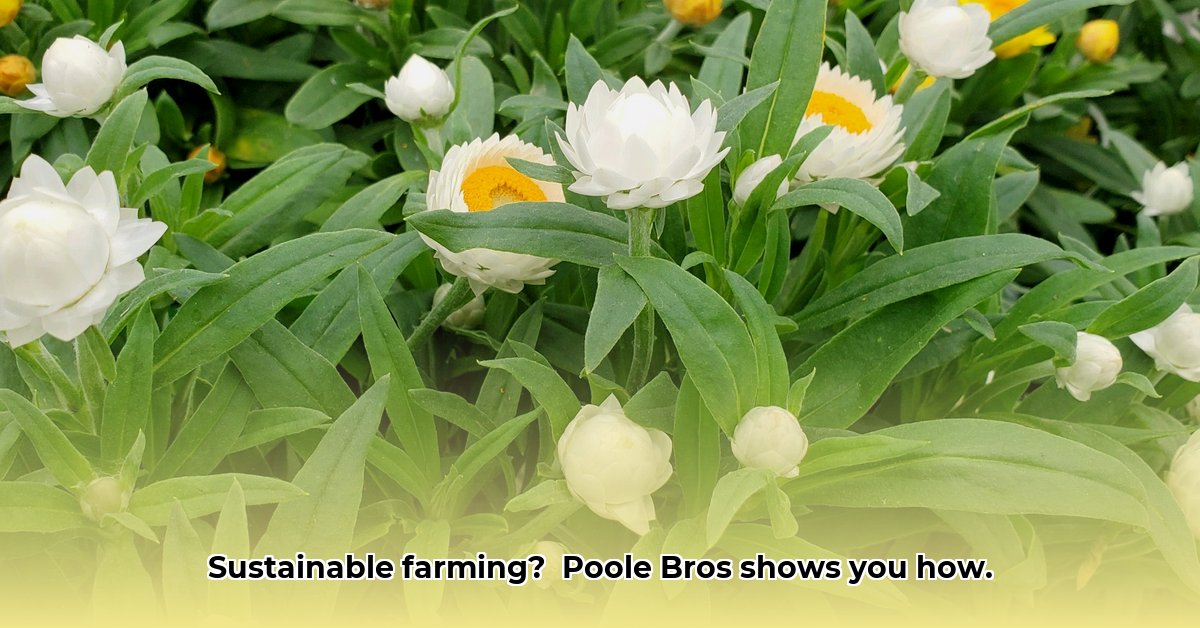 poole-bros-nursery